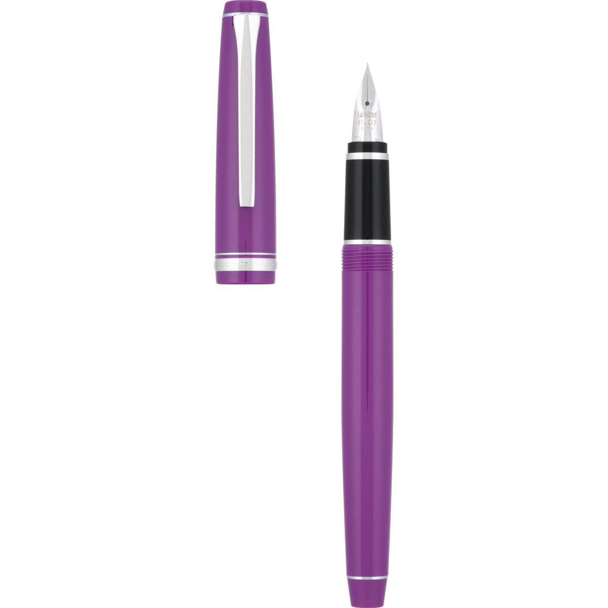 Pilot Falcon