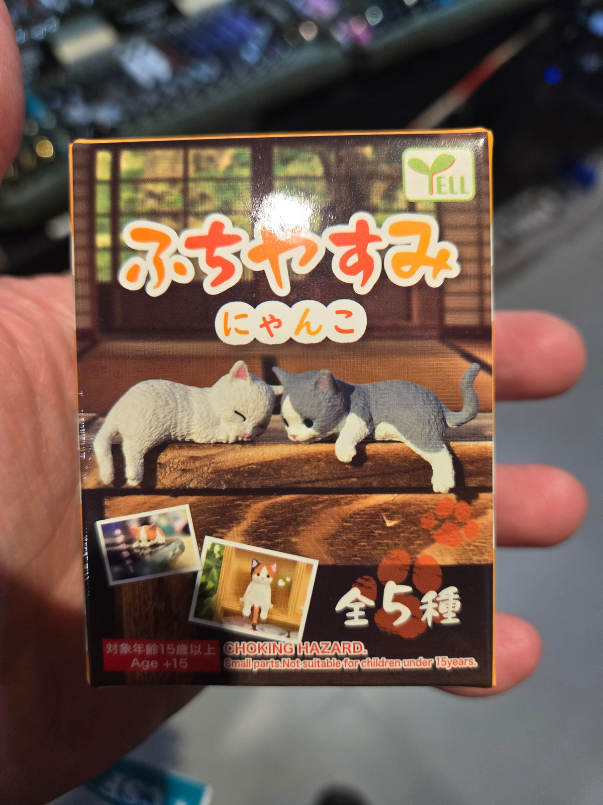 Mystery Cat